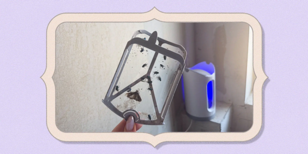 Zevo Max Review 2026: The Best Chemical-Free Indoor Fly Trap