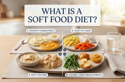 soft food diet