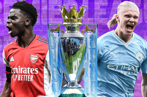 Emotional Control After Lost Bets: Preventing Loss-Chasing in the 2010/11 Premier League